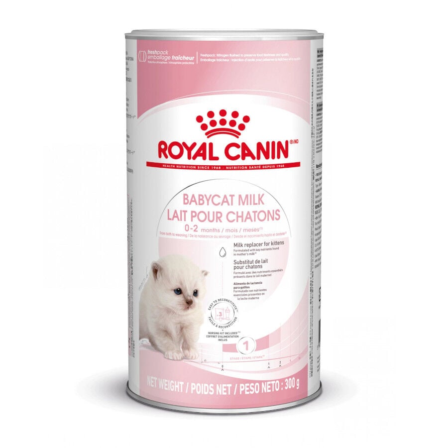 Royal Canin Leche para gatitos primer a&ntilde;o
