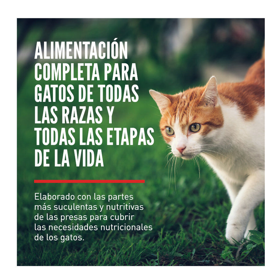 5.4 kg Orijen Fit&Trim pienso para gatos, , large Imagen numero 2