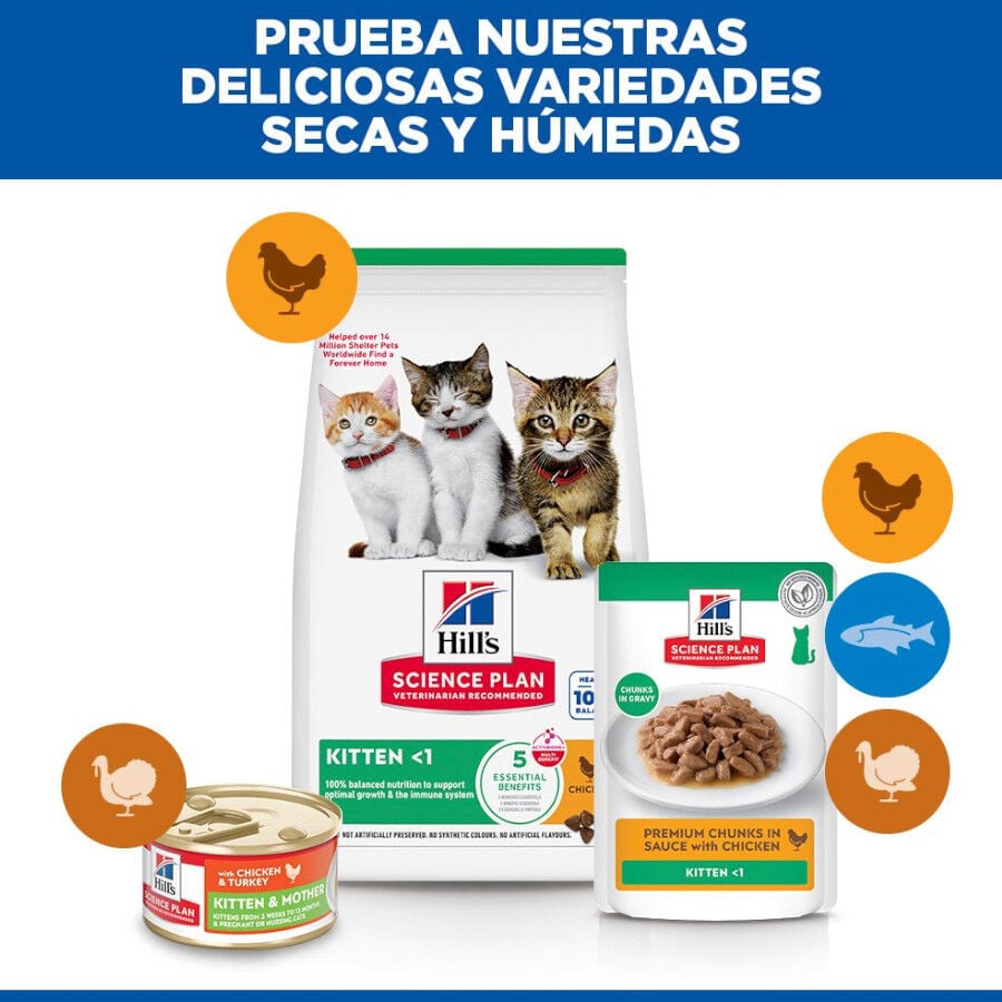 7 kg Hill's Science Plan Kitten Pollo pienso para gatos, , large indicador imagen numero 7