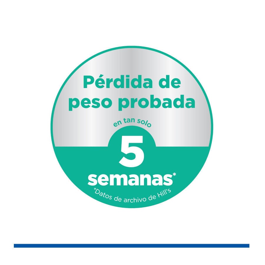 12 kg Hill's Science Plan Perfect Weight y Active Mobility pollo pienso para perros medianos, , large indicador imagen numero 6