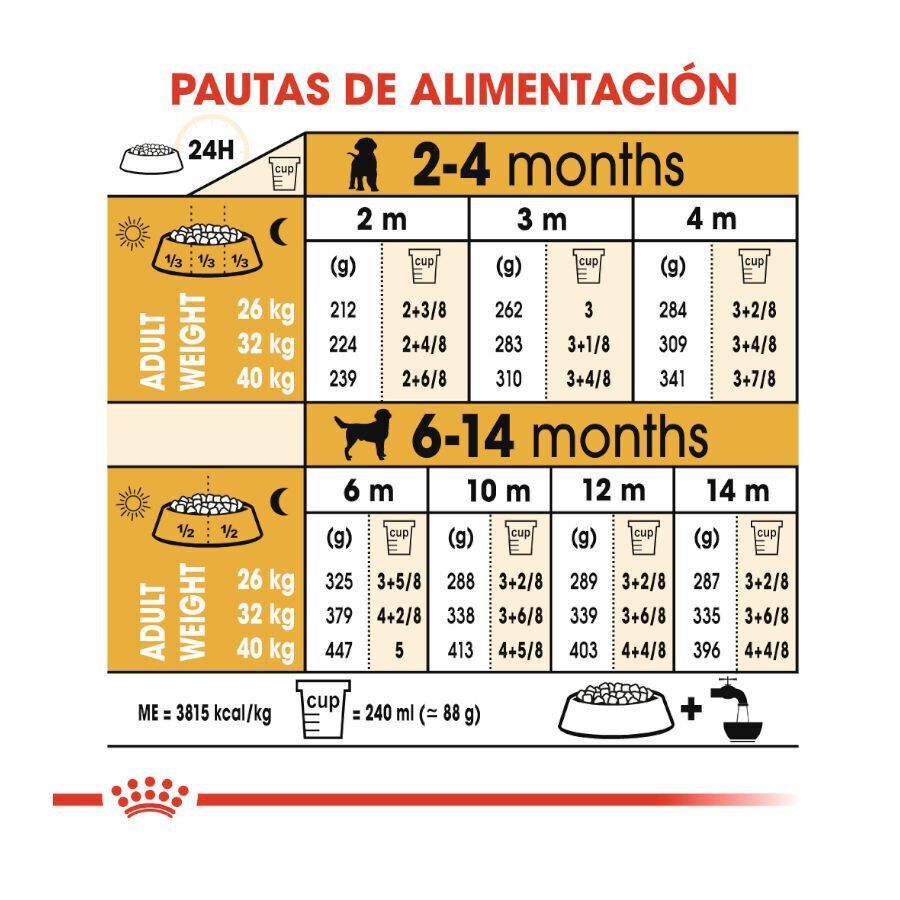 12 kg Royal Canin Puppy Labrador Retriever pienso para perros, , large indicador imagen numero 9