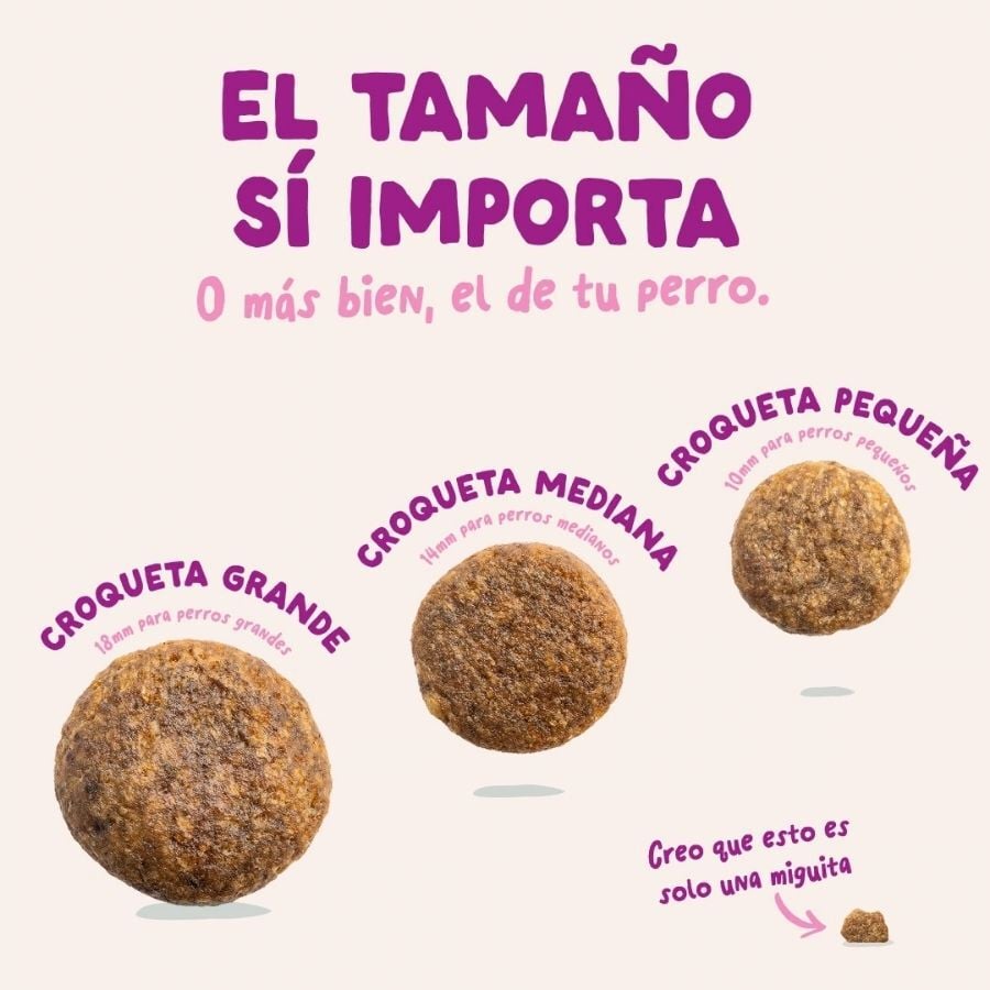 12 kg Edgard & Cooper Puppy Pato y Pollo pienso para perros grandes, , large indicador imagen numero 5