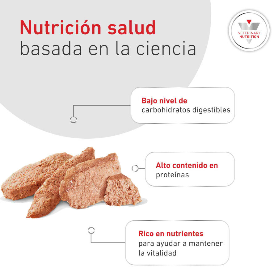 195 g Royal Canin Veterinary Diabetic latas para perros, , large indicador imagen numero 6