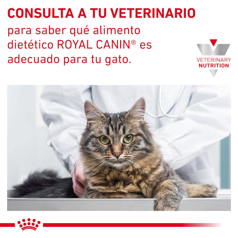 12 sobres x 85 g Royal Canin Gastrointestinal Fibre Response L&aacute;minas en Salsa Sobre para gatos, , large indicador imagen numero 8