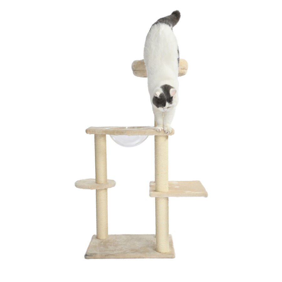Leeby Luna &aacute;rbol rascador con cama y juguete para gatos, , large Imagen numero 4