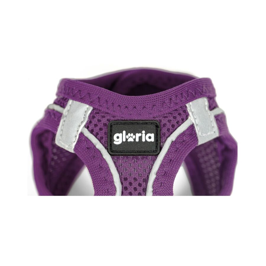 Gloria Air Mesh Trek Star Arn&eacute;s Morado para perros, , large indicador imagen numero 3