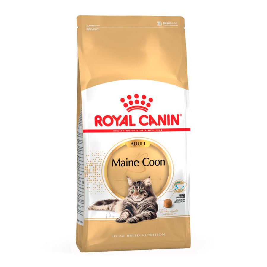 10 kg Royal Canin Adult Maine Coon pienso para gatos, , large Imagen numero 1