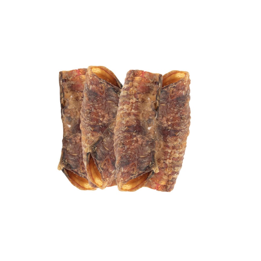 Pack 10 uds. True Origins Wild Tr&aacute;quea Cerdo Snack para perros, , large Imagen numero 3