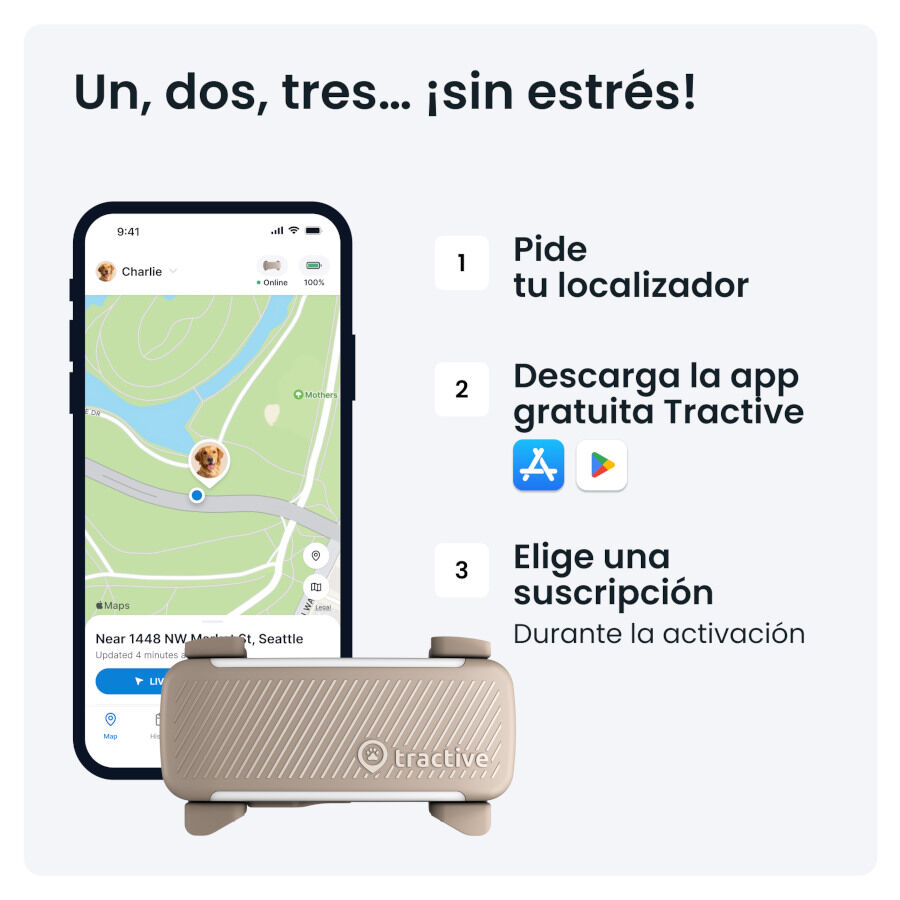 Tractive GPS Dog 6 Marr&oacute;n Rastreador para perros, , large Imagen numero 6
