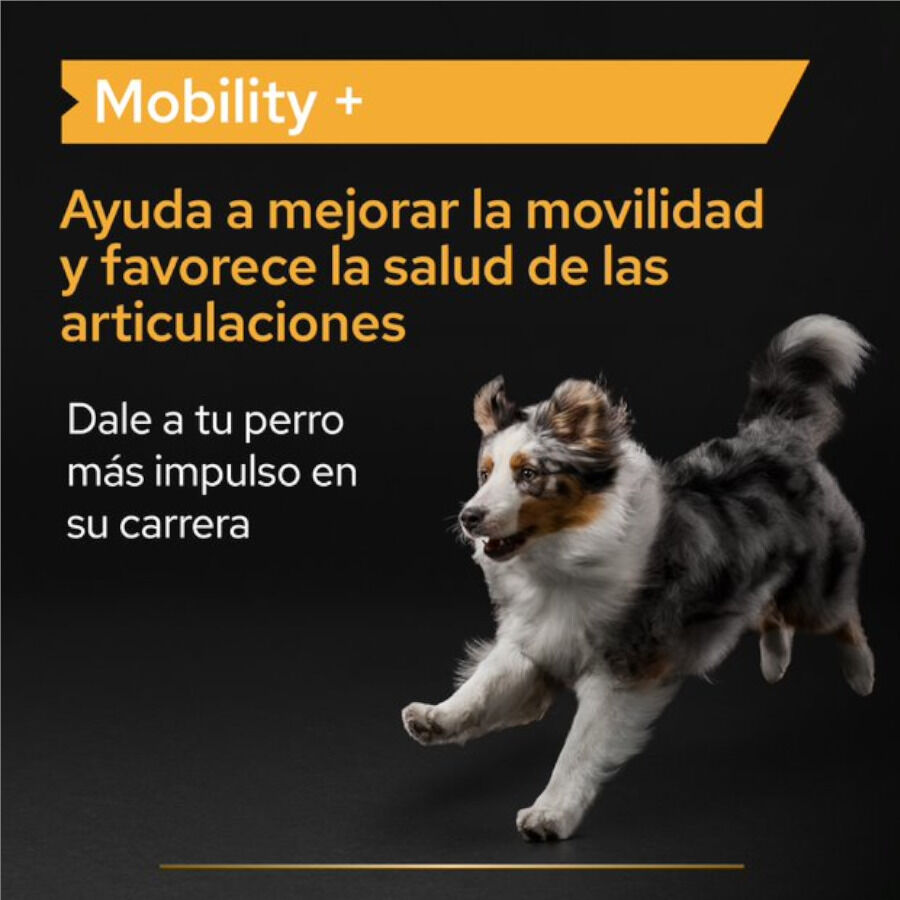 60 g Pro Plan Mobility+ Suplemento para perros, , large indicador imagen numero 3