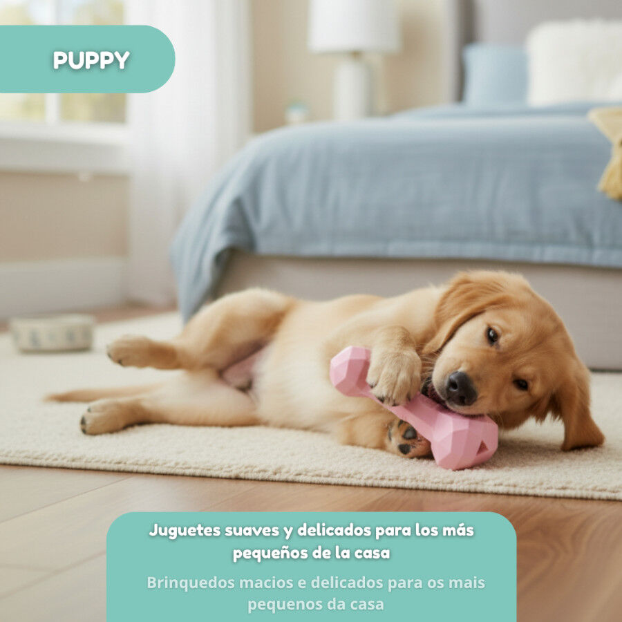 Tootoy! Hueso Mordedor de Goma Rosa para cachorros, , large Imagen numero 5