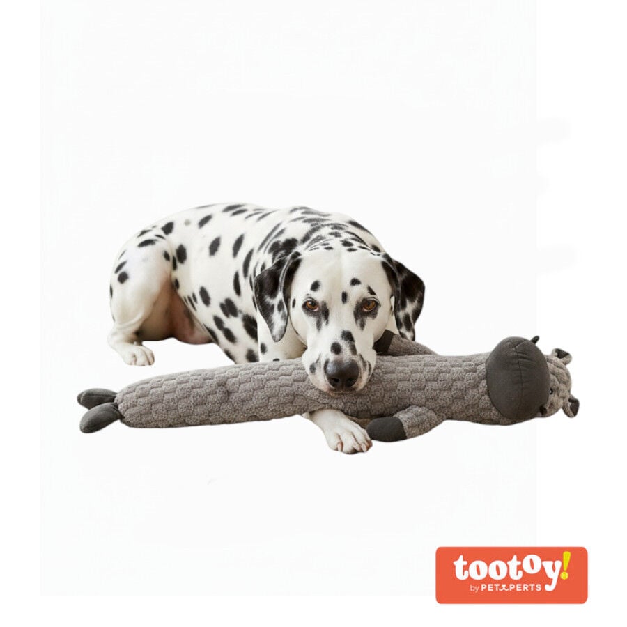 Tootoy! Hipop&oacute;tamo Largo de Peluche con Sonido para perros
