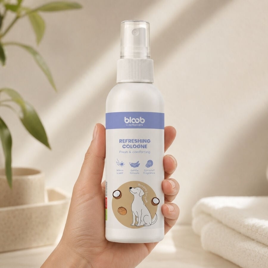 Bloob Colonia Refrescante Coco para perros, , large Imagen numero 1