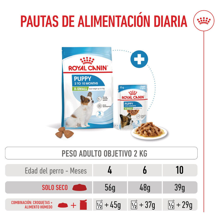 3 kg Royal Canin X-Small Puppy pienso para perros, , large Imagen numero 8