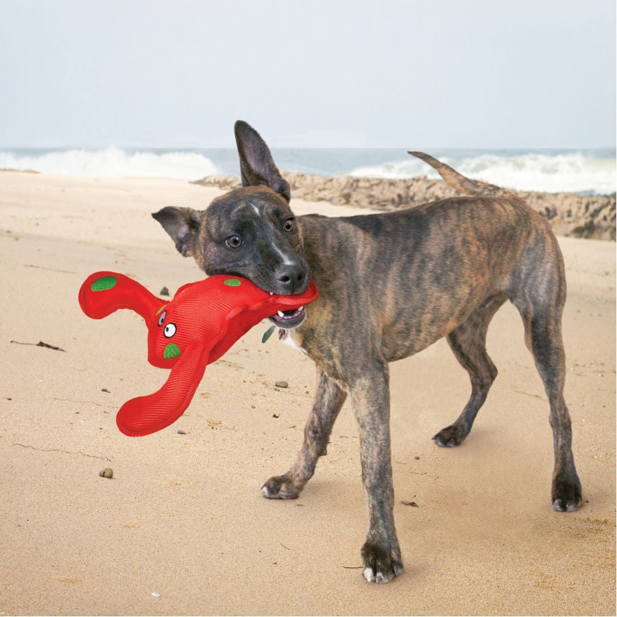 Kong Belly Flops Langosta de juguete para perros, , large indicador imagen numero 2