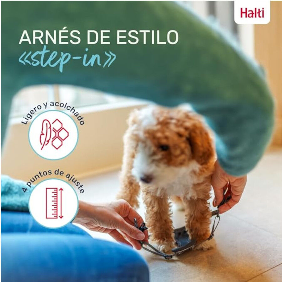 Halti arn&eacute;s anat&oacute;mico para cachorros y perros peque&ntilde;os, , large indicador imagen numero 4