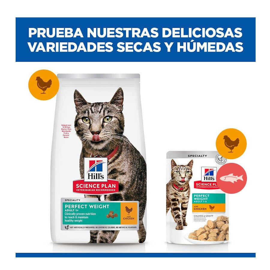 7 kg Hill's Science Plan Perfect Weight Adult pollo pienso para gatos, , large indicador imagen numero 8