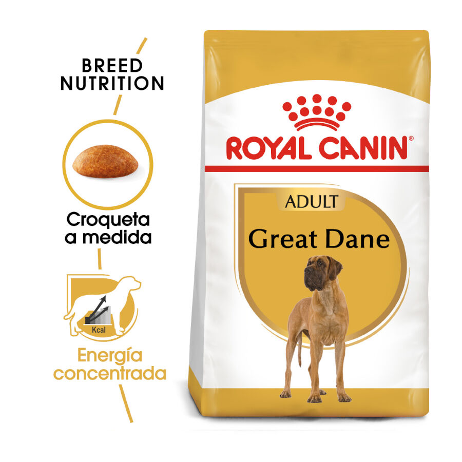 12 kg Royal Canin Adult Great Dane pienso para perros, , large indicador imagen numero 2