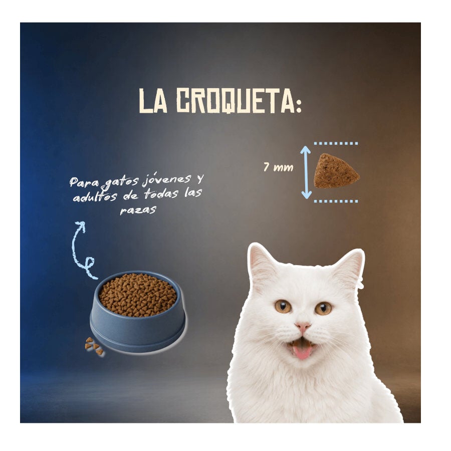 5 Kg Lenda Grain Free Pescado Blanco pienso para gatos, , large indicador imagen numero 6