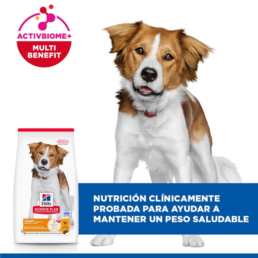14 kg Hill's Science Plan Adult Light Medium Pollo pienso para perros, , large Imagen numero 4