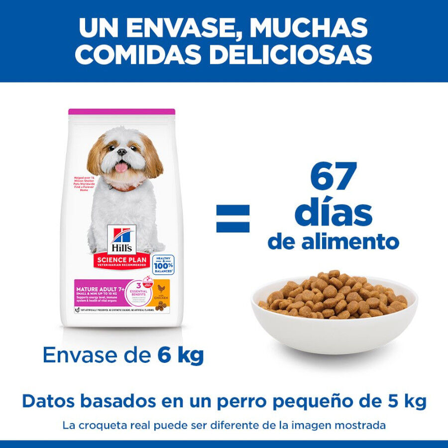 6 kg Hill's Science Plan Mature Adult Small y Mini pollo pienso para perros, , large indicador imagen numero 6