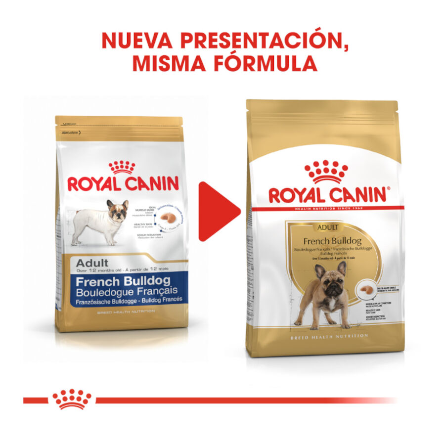 9 kg Royal Canin French Bulldog Adult pienso para perros, , large indicador imagen numero 3
