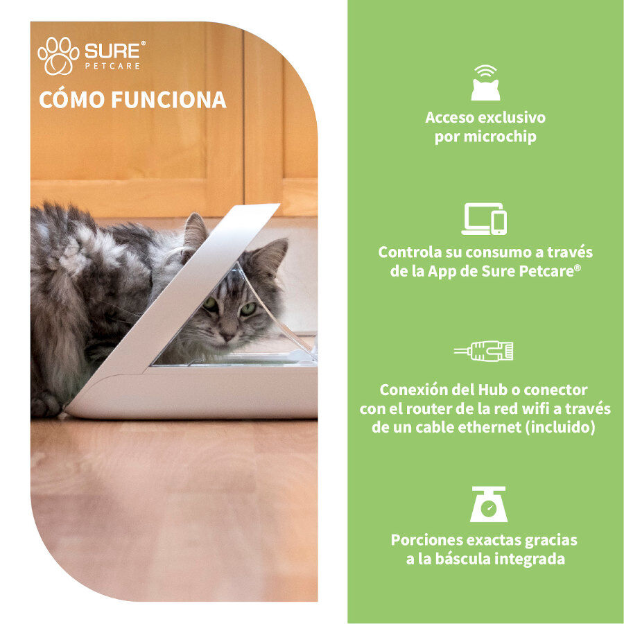 Sure Petcare Surefeed Comedero Autom&aacute;tico con Microchip Connect para perros y gatos, , large Imagen numero 4