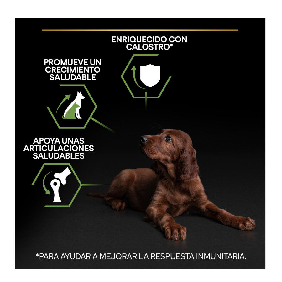 12 kg Pro Plan Puppy Large Athletic Pollo pienso para perros, , large Imagen numero 3