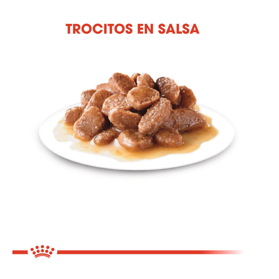 85 g Royal Canin Feline Sterilised Salsa sobres para gato, , large indicador imagen numero 4