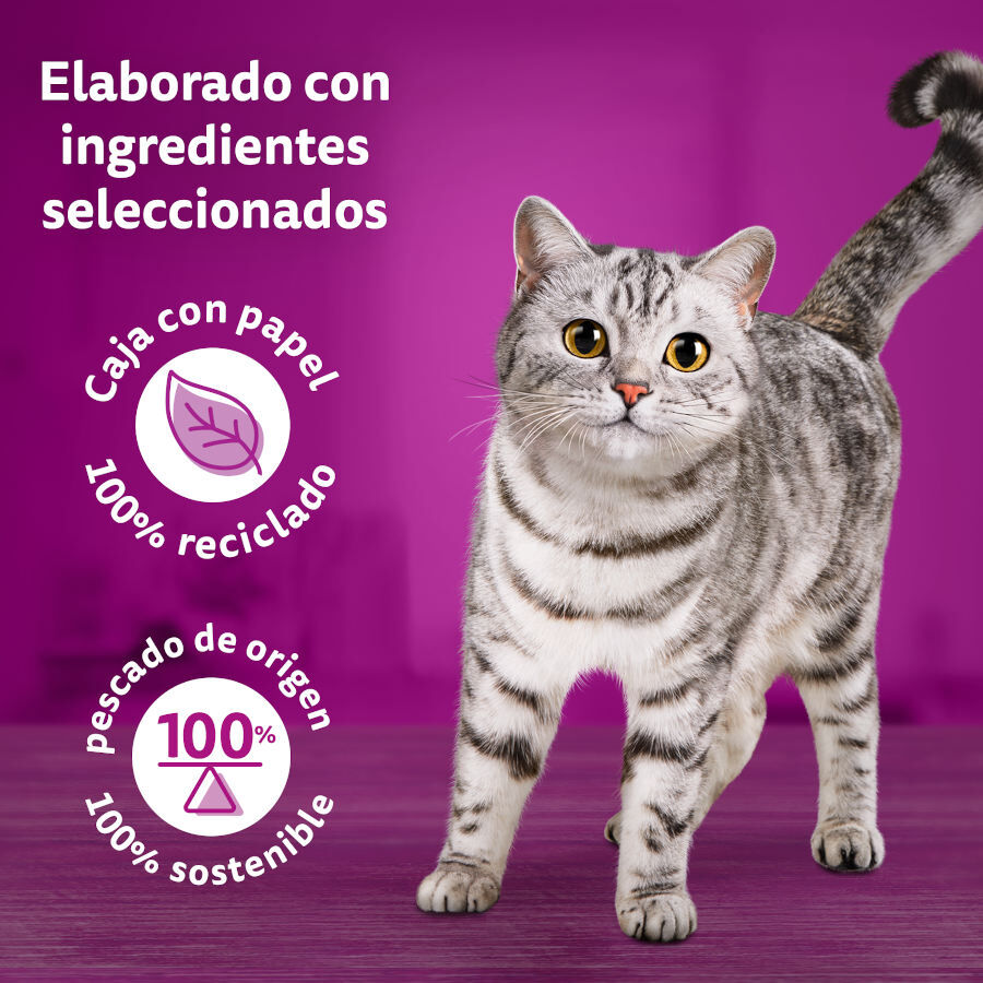 48 sobres x 85 g Whiskas Tasty Mix Selecci&oacute;n del Chef en Salsa sobre para gatos, , large indicador imagen numero 3