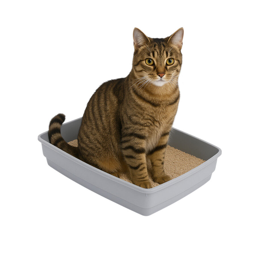 TK Pet Bandeja Sanitaria Essential W para gatos, , large indicador imagen numero 1