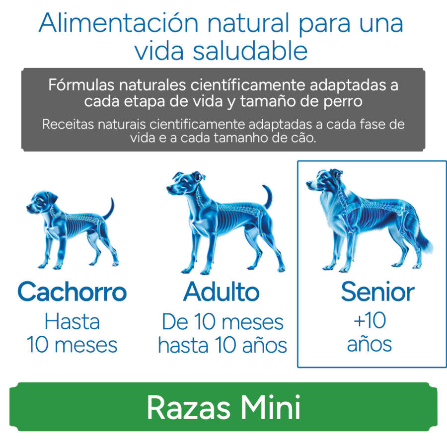 3 kg Criadores Cient&iacute;fico Senior Sensitive Mini Pienso Salm&oacute;n para perros, , large indicador imagen numero 11