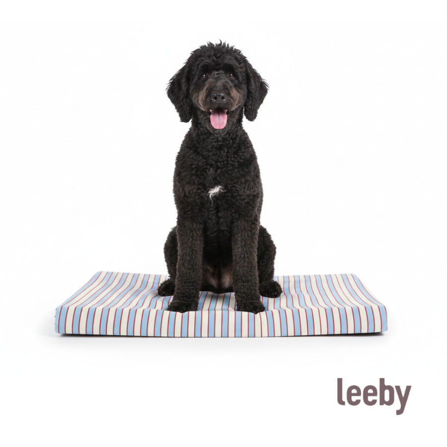 Leeby Colch&oacute;n Rayas Anchas para perros