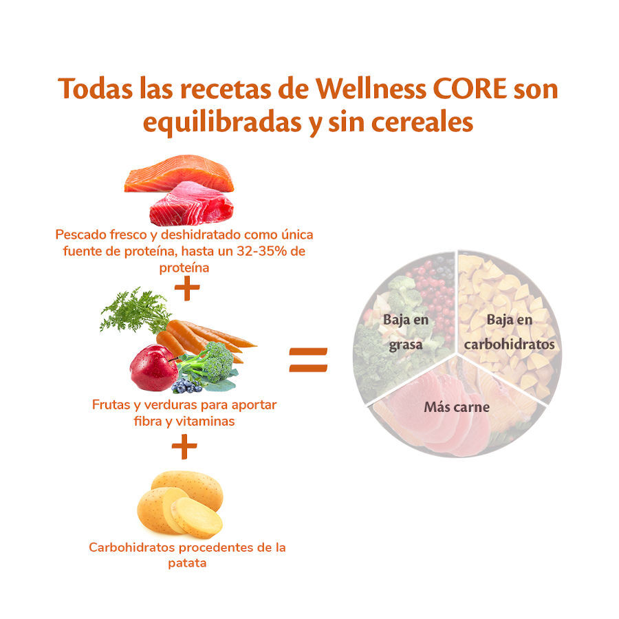 5 kg Wellness Core Adult Small Ocean Salm&oacute;n y At&uacute;n pienso para perros, , large Imagen numero 5