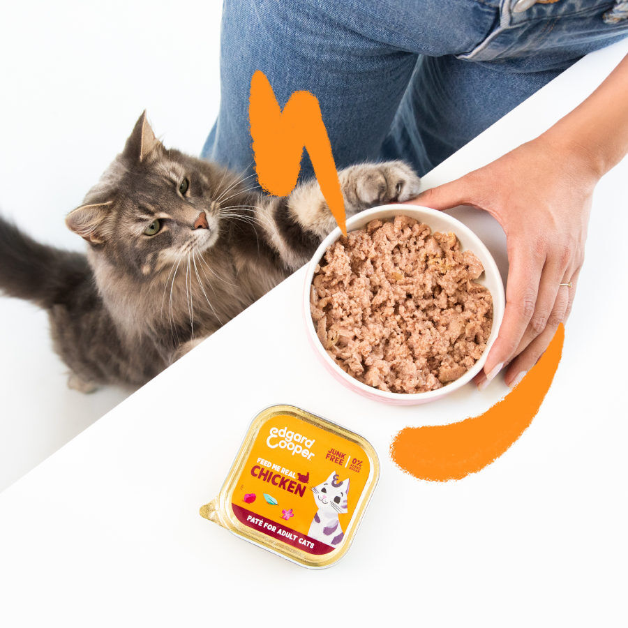 85 g Edgard & Cooper Adult Pollo en Pat&eacute; tarrina para gatos, , large indicador imagen numero 2