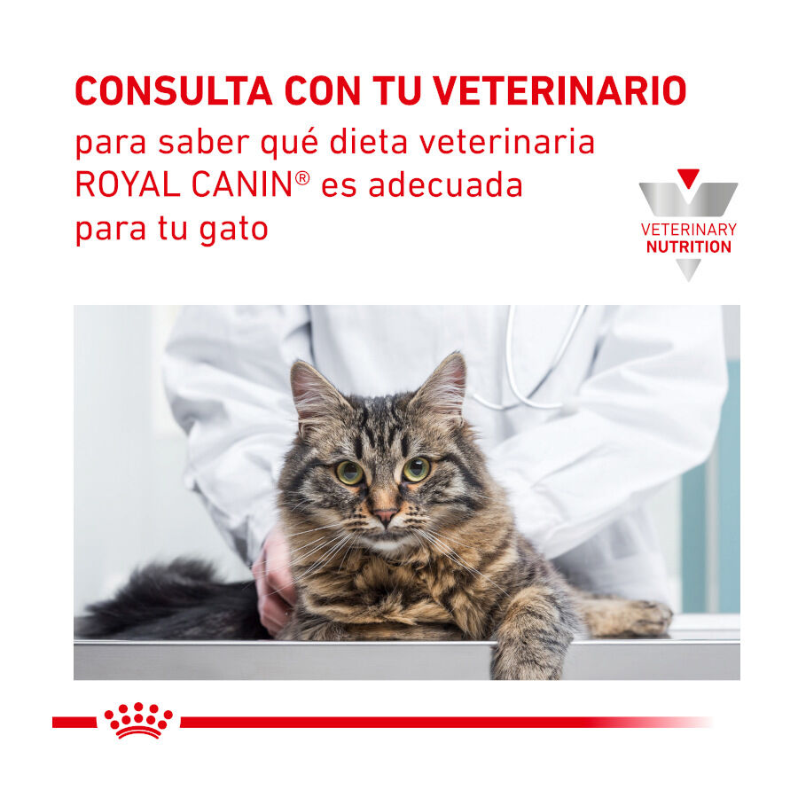 12 sobres x 85 g Royal Canin Adult Veterinary Urinary mousse sobre para gatos, , large Imagen numero 7