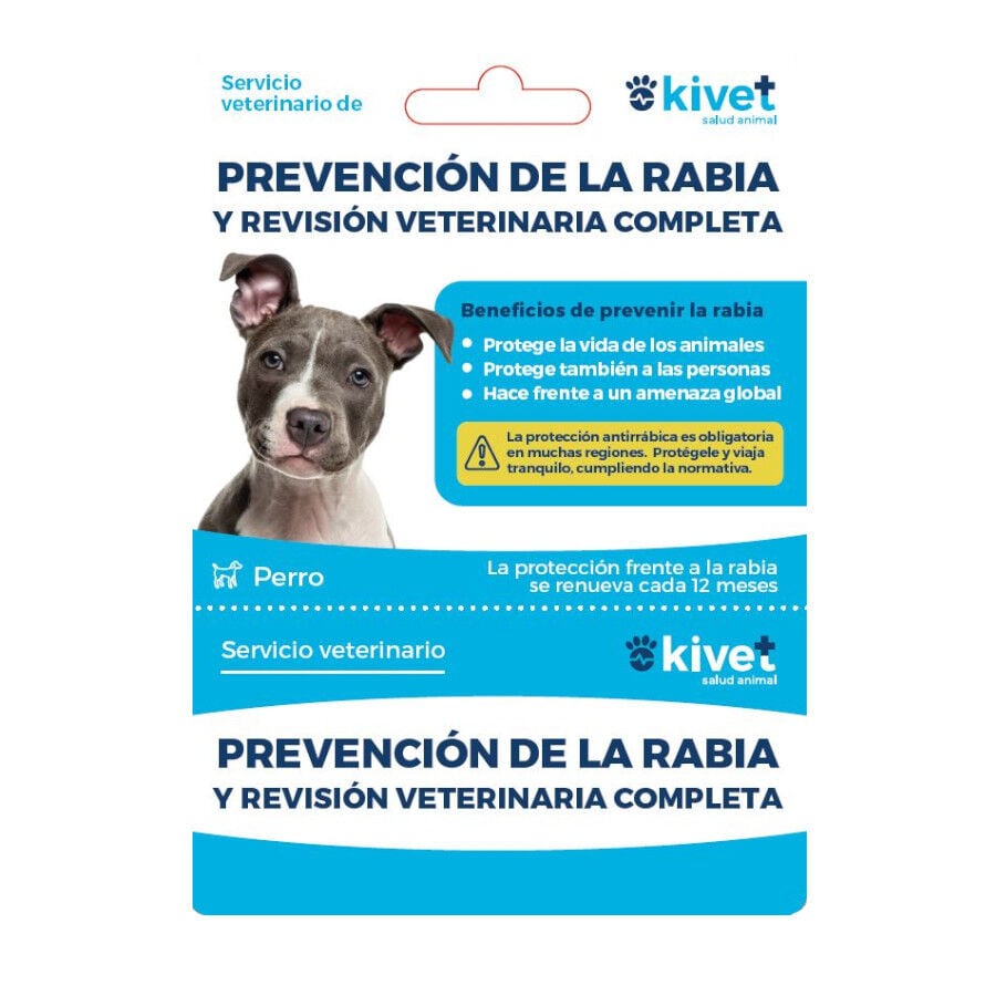 Tarjeta de prevenci&oacute;n de la rabia + revisi&oacute;n veterinaria completa para perro, , large Imagen numero 1