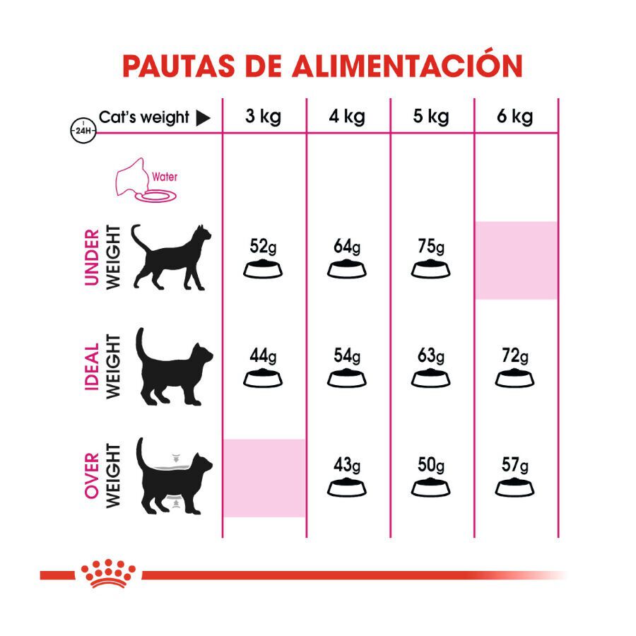 0.4 kg Royal Canin Adult Exigent Aroma pienso para gatos, , large Imagen numero 6