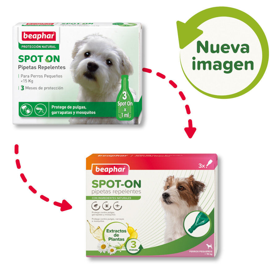 Beaphar Pipetas Repelentes para perros, , large indicador imagen numero 2