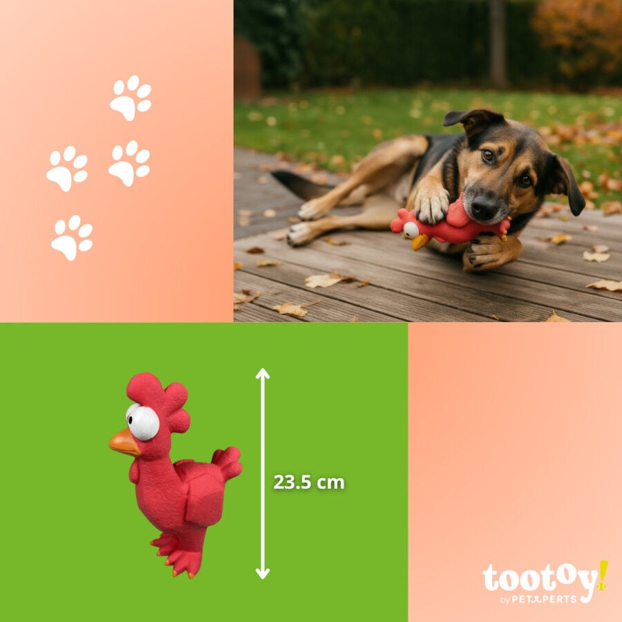 Tootoy! Mordedor con Sonido Gallina para perros, , large Imagen numero 4