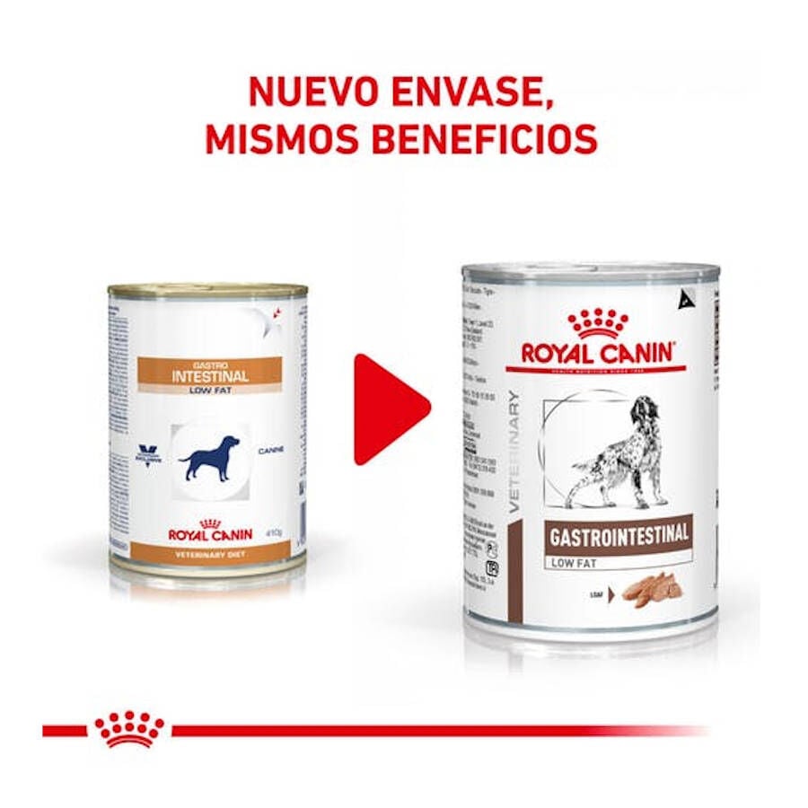 420 g Royal Canin Gastrointestinal Low Fat lata para perros, , large Imagen numero 4