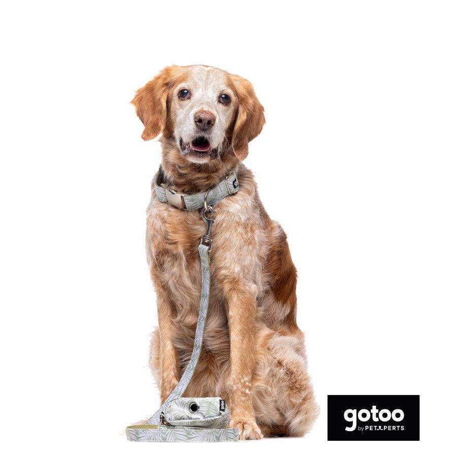 Correa estampada hojas para perros, , large indicador imagen numero 6