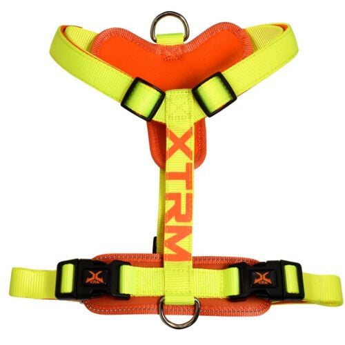 Nayeco X-TRM Cronos Ne&oacute;n Lim&oacute;n arn&eacute;s para perros Imagen numero 1