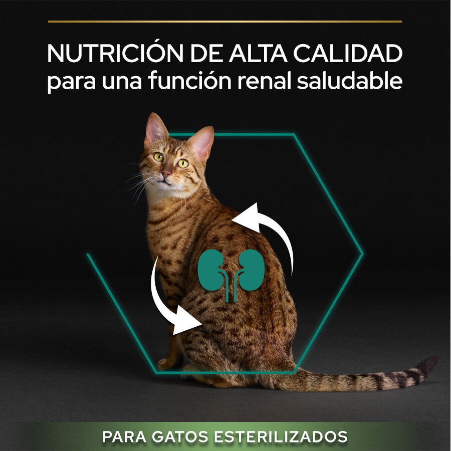 12 kg (10 + 2 kg &iexcl;gratis!) Pro Plan Adult Sterilized Pavo Pienso para gatos, , large indicador imagen numero 5