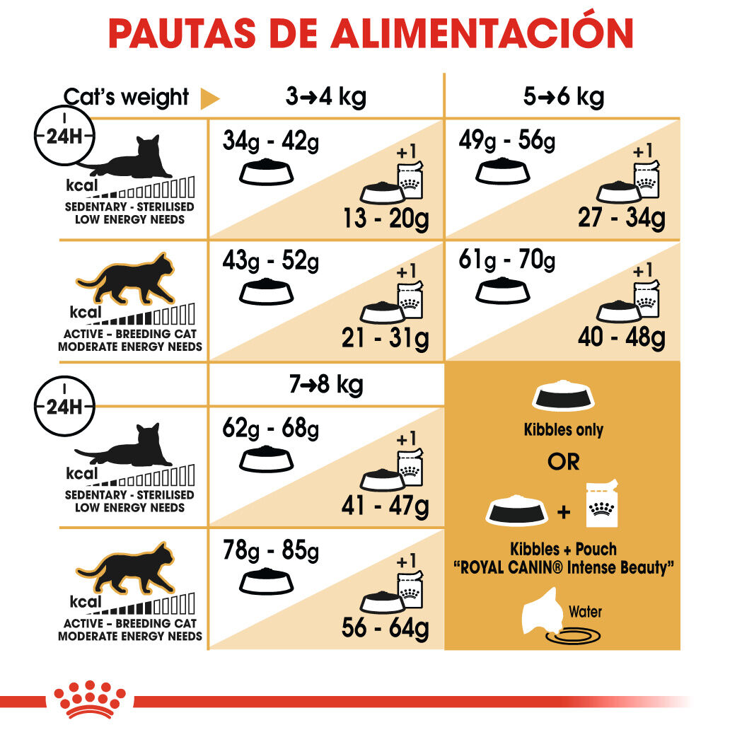 2 kg Royal Canin Adult Ragdoll pienso para gatos, , large Imagen numero 7