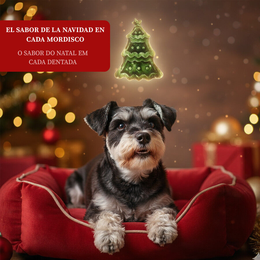 80 g Wonder Christmas Galleta &Aacute;rbol de Navidad para perros, , large indicador imagen numero 4
