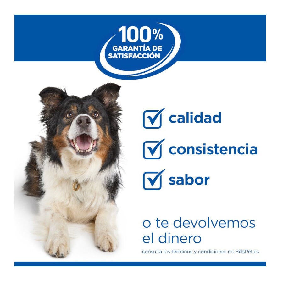 14 kg Hill's Science Plan Perfect Digestion Adult Medium Pollo pienso para perros, , large Imagen numero 11