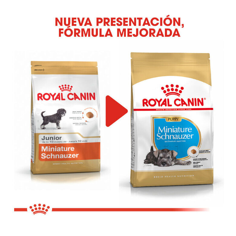 1.5 kg Royal Canin Puppy Miniature Schnauzer pienso para perros, , large indicador imagen numero 4