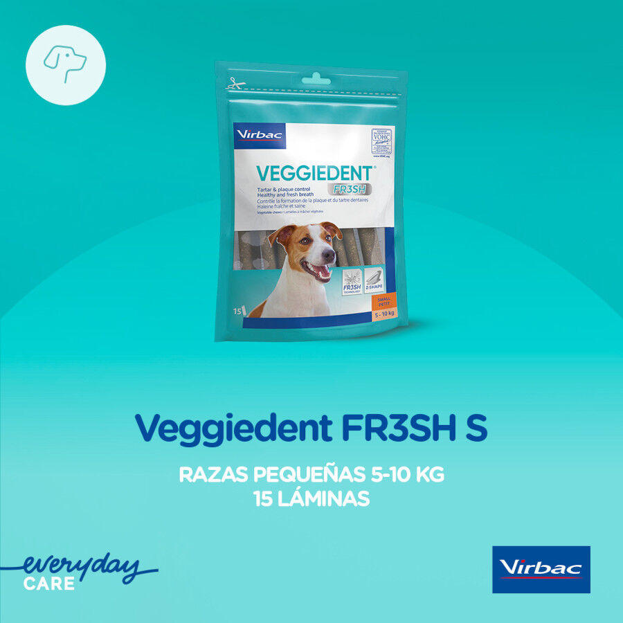 15 barritas Virbac Snacks Dentales Veggiedent Fresh para perros de raza peque&ntilde;a, , large indicador imagen numero 3