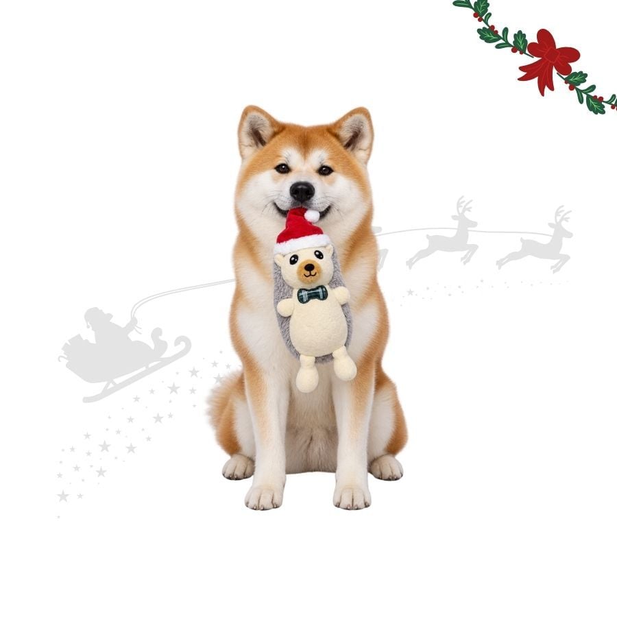 Wonder Christmas Erizo Peluche para perros, , large Imagen numero 1